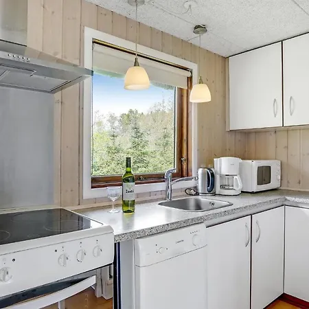 Fyrrevaenget Blavand X *