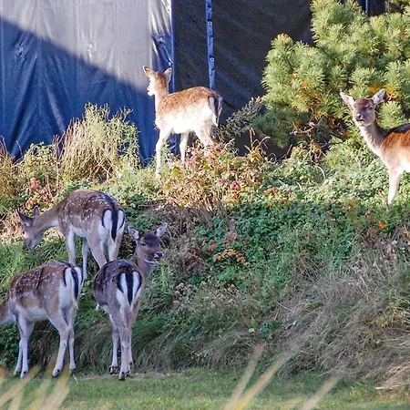 Hébergement de vacances Fyrrevaenget Blavand X