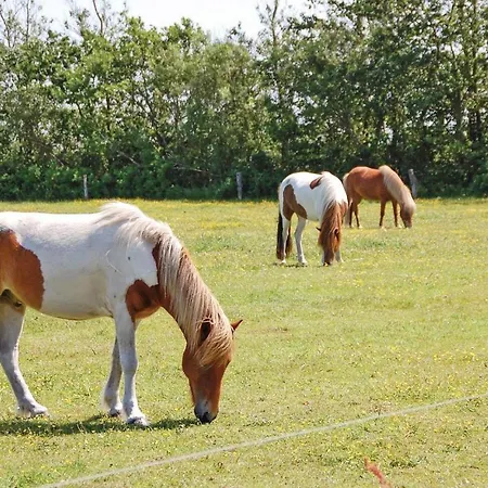 Dom wakacyjny Fyrrevaenget Blavand X Blåvand