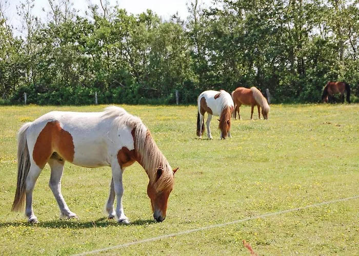 بيت للعطل Fyrrevaenget X Blåvand